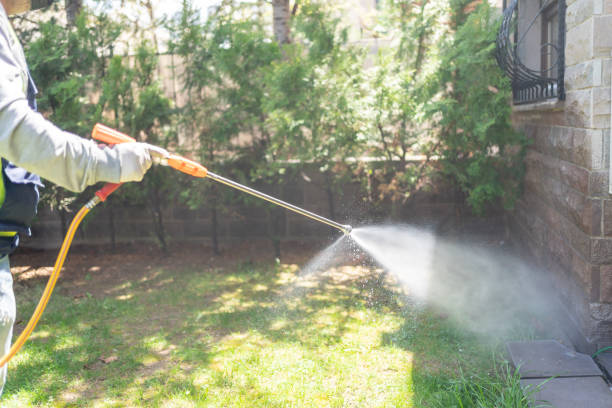 Best Cockroach Control  in The Hills, TX